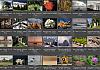 Thumbnails-Kunterbunt-Set-1+---030 von Heinz Hehenberger