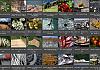 Thumbnails-Kunterbunt-Set-1+---033 von Heinz Hehenberger