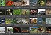 Thumbnails-Kunterbunt-Set-1+---034 von Heinz Hehenberger
