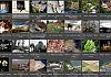 Thumbnails-Kunterbunt-Set-1+---035 von Heinz Hehenberger