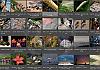 Thumbnails-Kunterbunt-Set-1+---037 von Heinz Hehenberger
