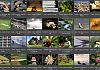 Thumbnails-Kunterbunt-Set-1+---039 von Heinz Hehenberger