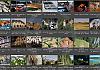 Thumbnails-Kunterbunt-Set-1+---041 von Heinz Hehenberger