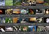 Thumbnails-Kunterbunt-Set-1+---042 von Heinz Hehenberger