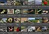 Thumbnails-Kunterbunt-Set-1+---045 von Heinz Hehenberger