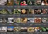 Thumbnails-Kunterbunt-Set-1+---049 von Heinz Hehenberger