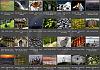 Thumbnails-Kunterbunt-Set-1+---050 von Heinz Hehenberger