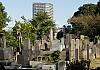 Ueno District - Tokyo  30 Oct. 17+ - 021 von Heinz Hehenberger
