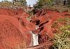Waimea-Canyon---Kauai---Hawaii-10+---009 von Heinz Hehenberger