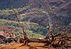 Waimea-Canyon---Kauai---Hawaii-10+---094 von Heinz Hehenberger