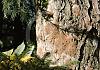 Wanderung Micheldorf - Upper Austria 12+ - 011 von Heinz Hehenberger