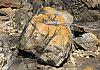Wanderung perros-guirec n. plumanac  h - bretagne 13  - 050 von Heinz Hehenberger