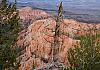 Bryce Canyon - Utah 10+ 220 1 von Heinz Hehenberger