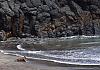 Canical Beach - Madeira 05+ - 002 von Heinz Hehenberger