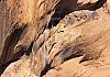 Canyon de Chelly North Rim  Arizona  23 April 19+  052 von Heinz Hehenberger