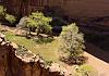 Canyon de Chelly North Rim  Arizona  23 April 19+  082 von Heinz Hehenberger