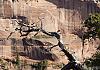 Canyon de Chelly North Rim  Arizona  23 April 19+  258 von Heinz Hehenberger