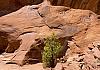 Canyon de Chelly South Rim  Arizona  23 April 19+  142 von Heinz Hehenberger