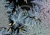 Frost patterns 22 jan. 16  - 031 von Heinz Hehenberger