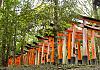 Fushimi Inari Shrine  Kyoto  23 Oct. 17+ - 057 von Heinz Hehenberger