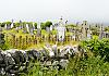 Ireland - Ballinskelligs Abbey 13 June 17+ - 033 von Heinz Hehenberger