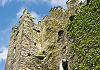Ireland - Ballycarberry Castle b. Cahersiveen  13 June 17+ - 014 von Heinz Hehenberger