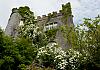 Ireland - Birr Castle  20 June 17+ - 020 von Heinz Hehenberger
