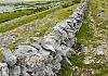 Ireland - The Burren 14 June 17+ - 041 von Heinz Hehenberger