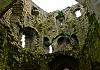 Ireland - Trim Castle  21 June 17+ - 023 von Heinz Hehenberger