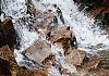 Mt. Willard Trail - New Hampshire 10+ - 021 von Heinz Hehenberger