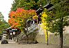Takayama shrines  25 Oct. 17+ - 057 von Heinz Hehenberger
