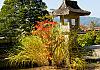 Takayama shrines  26 Oct. 17+ - 027 von Heinz Hehenberger