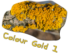 Colour Gold 1