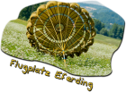 Flugplatz Eferding