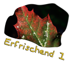 Erfrischend 1