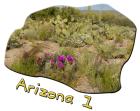 Arizona 1