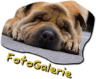 Fotogalerie